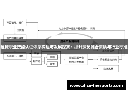 足球职业技能认证体系构建与发展探索：提升球员综合素质与行业标准