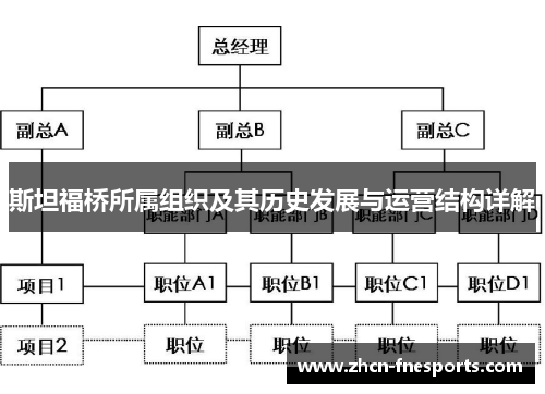 斯坦福桥所属组织及其历史发展与运营结构详解